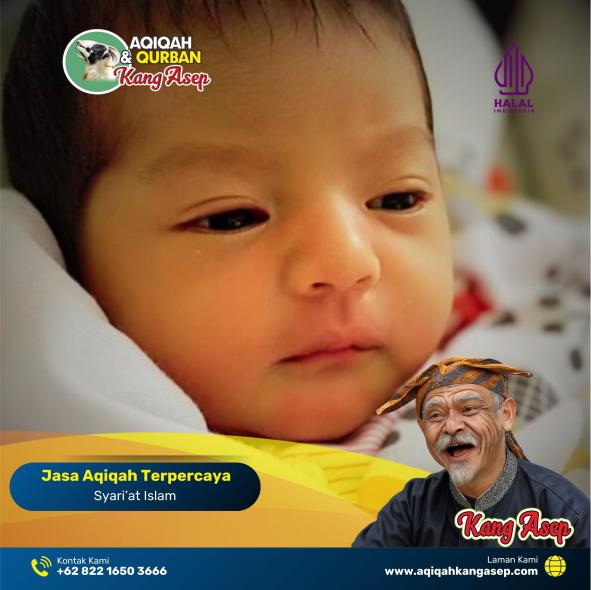 Aqiqah, Aqiqah Leles, Jasa Aqiqah Leles, leles,Jasa Aqiqah,