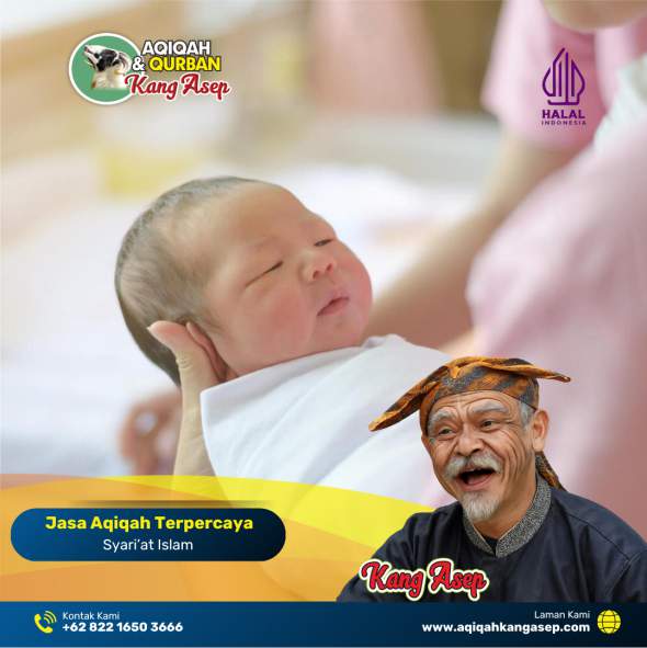 Aqiqah Kang Asep,Aqiqah,Kang Asep,