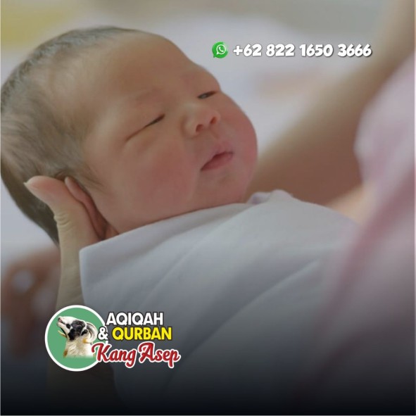 Aqiqah Wanaraja